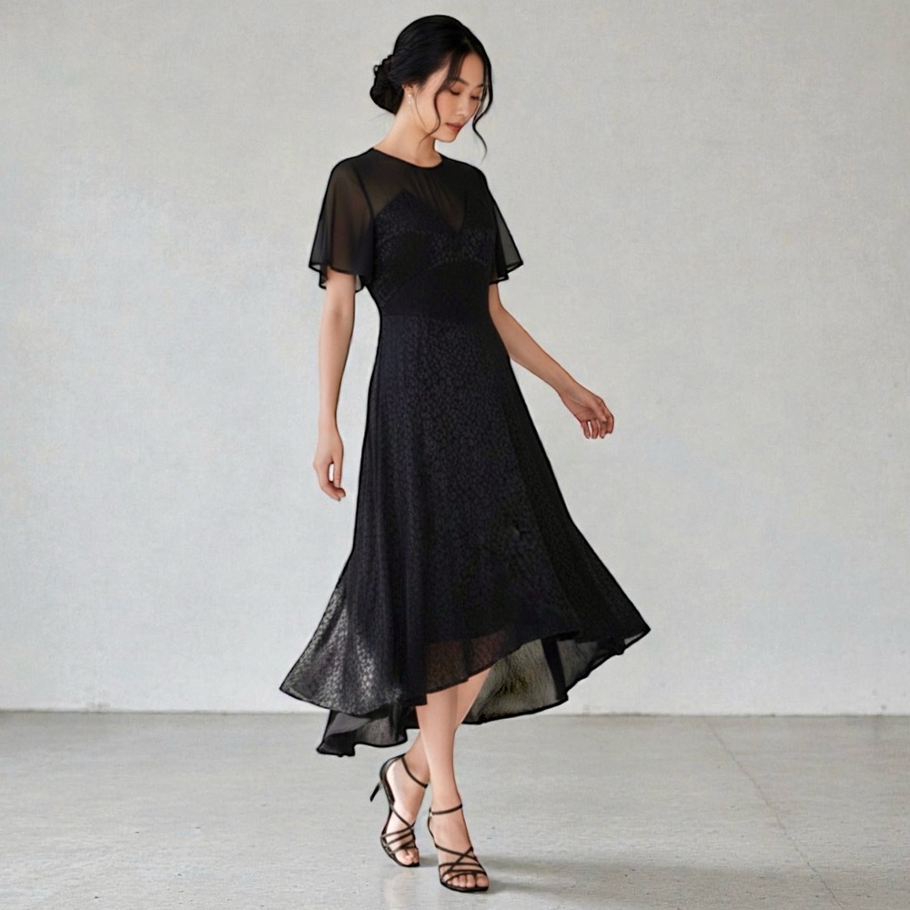 NWOT Zara Hi-Low Sheer Flutter Dress